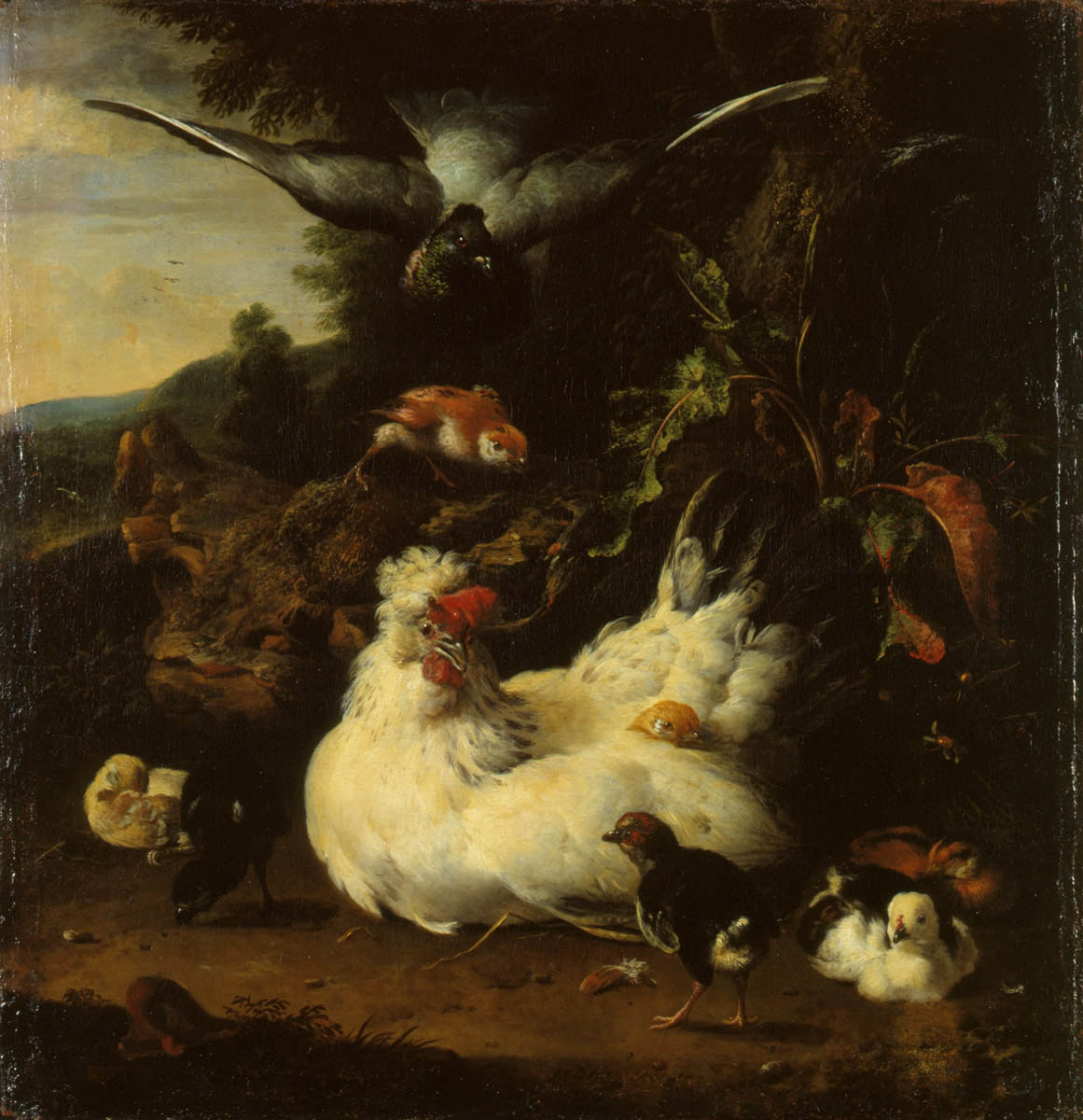 Une poule et ses poussins